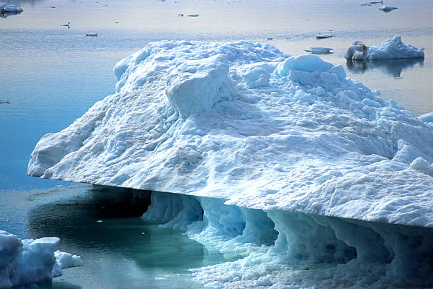 Icebergs in the fjords of south Greenland