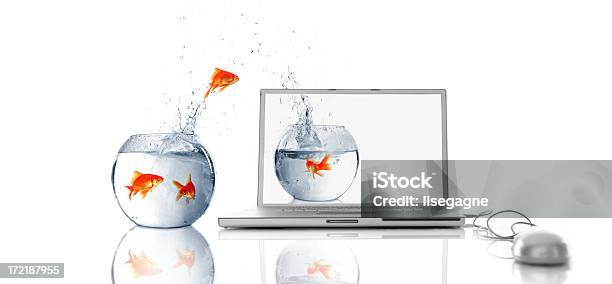 В Виртуальные Мире — стоковые фотографии и другие картинки Золотая рыбка - Золотая рыбка, Рыба, Золотой