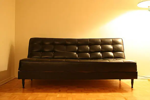 The black leather retro couch sitting where my dining room should be.