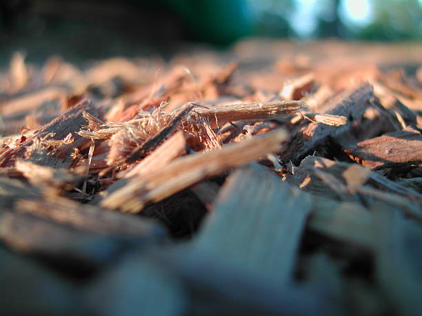 Macro - Woodchips Up close and personal with Playground woodchips in evening light wood chip stock pictures, royalty-free photos & images