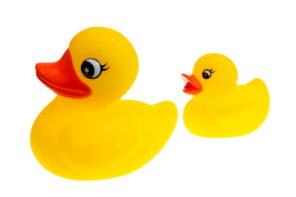 istock Mama and Baby Ducks 172188451