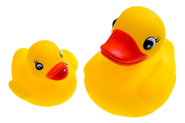 istock Mama and Baby Ducks 172188453