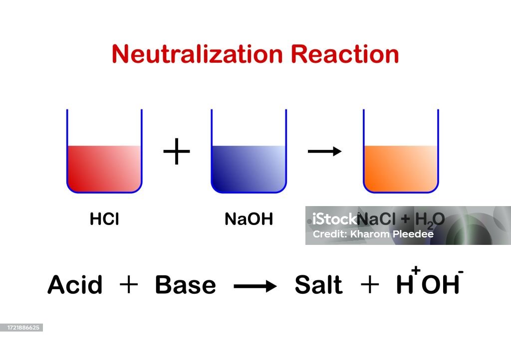 Acids React With Bases To Produce Salt And Water Stock Illustration