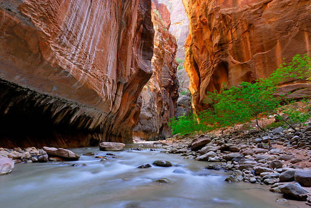 istock Canyoneering In Zions National  Park 172188950