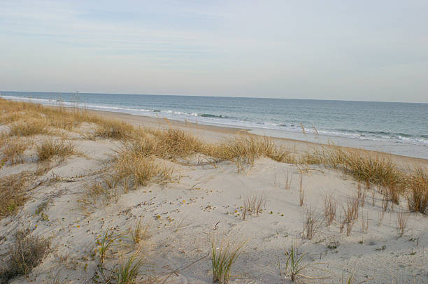 Not what you're looking for?  Check out our other Outer Banks images: