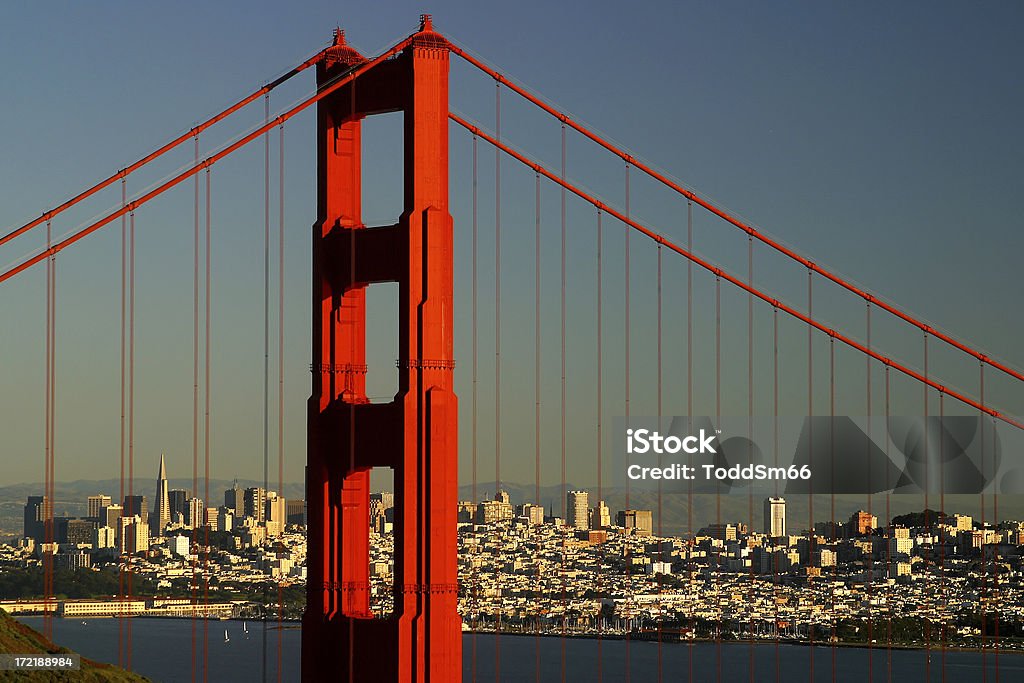 San Francisco - Zbiór zdjęć royalty-free (Fotografika)