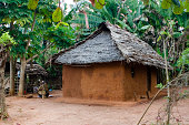 African Village hut amongst banana trees - Zanzibar