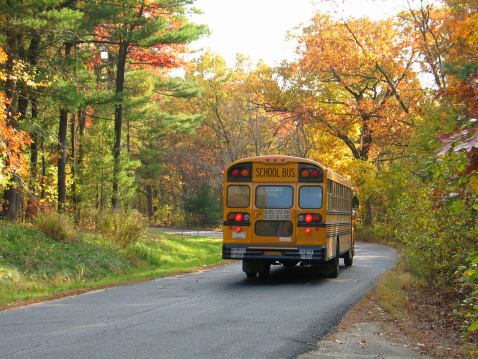 A schoolbus driving kids back to school in the fall on a beautiful autumn road.