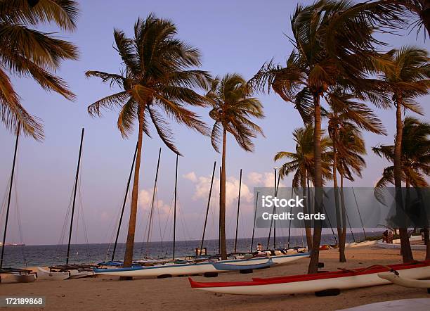 Boote Palms Stockfoto und mehr Bilder von Baum - Baum, Blau, Florida - USA