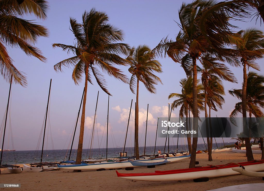 Bateaux & Palms - Photo de Arbre libre de droits