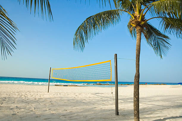 siatkówka plażowa i drzew palmowych - beach volleyball zdjęcia i obrazy z banku zdjęć