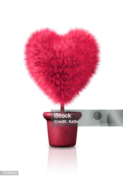 Photo libre de droit de Croissance De Cœur banque d'images et plus d'images libres de droit de Amour - Amour, Beauté, Cache-pot