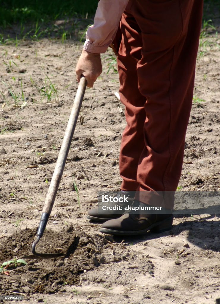 Gardener "A gardener cleans the weeds from his vegetable garden.Click on the LIGHTBOX BUTTON Below to see more images of my BARNS, FARMS and FARMLANDS" Adult Stock Photo