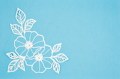 Carve of white paper flower and leaves with copy space on a blue cardboard background.