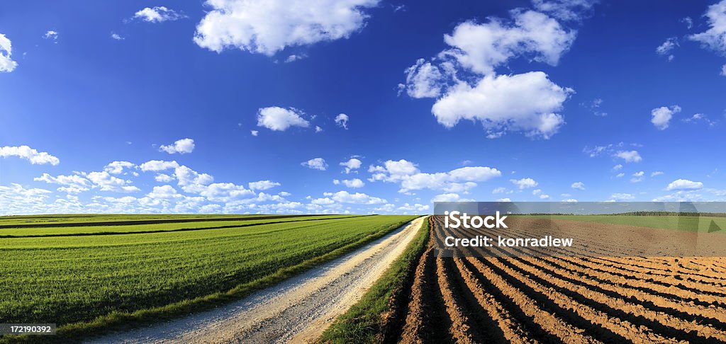 Green field Landscape More of my XXXL landscape photos: Agricultural Field Stock Photo