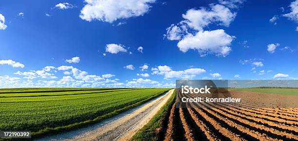 Green Field Landscape Stock Photo - Download Image Now - Agricultural Field, Plowed Field, Farm