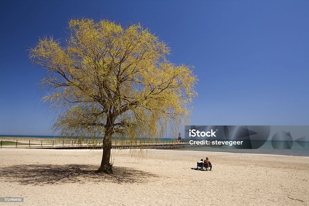 Praia de Loyola, Chicago - Foto de stock de Abril royalty-free