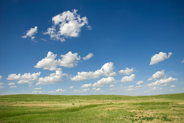 istock Beautiful Country Landscape 172190469