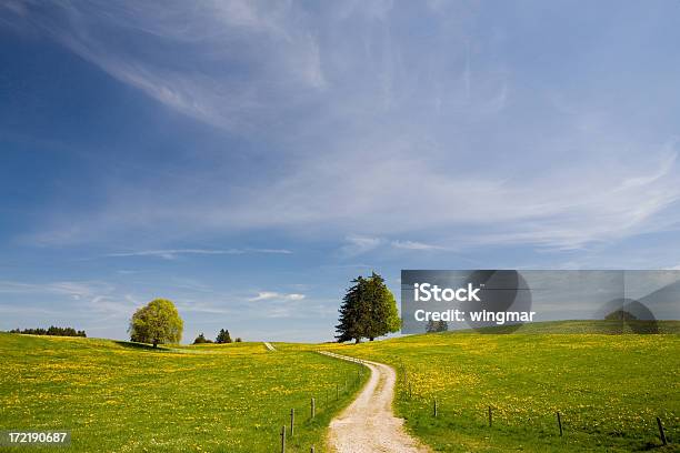 Der Path Stockfoto und mehr Bilder von Weg - Weg, Einspurige Straße, Wiese