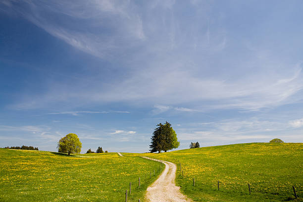 la ruta - meadow single lane road nature field fotografías e imágenes de stock