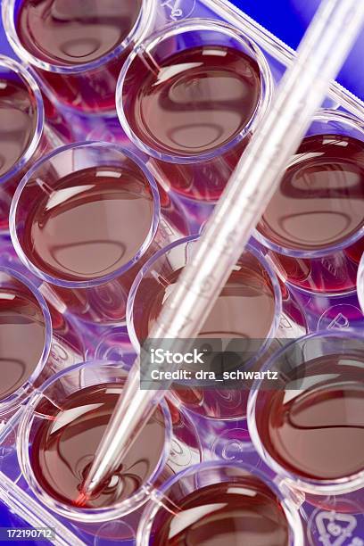 Stammzelle Klonen Stockfoto und mehr Bilder von Ausrüstung und Geräte - Ausrüstung und Geräte, Berufliche Beschäftigung, Biologie