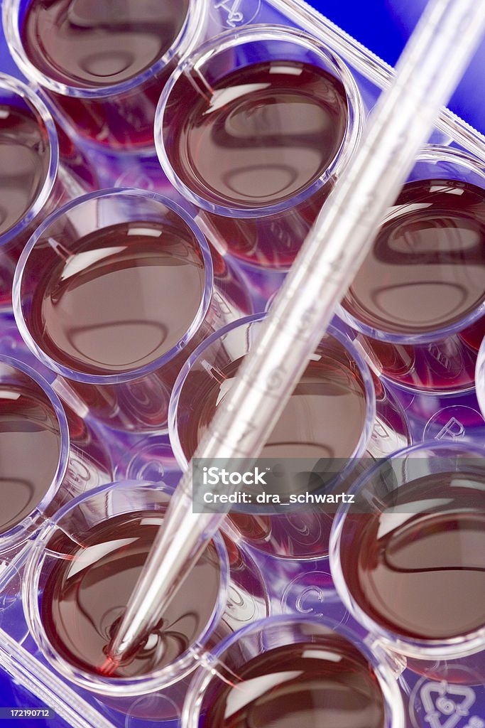 Клонирование стволовых клеток - Стоковые фото Биология роялти-фри