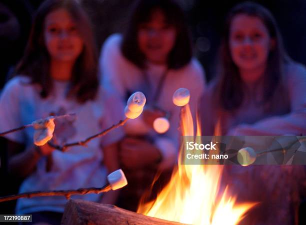 Marshmallow Anstoßen Stockfoto und mehr Bilder von Lagerfeuer - Lagerfeuer, Mäusespeck, Kind