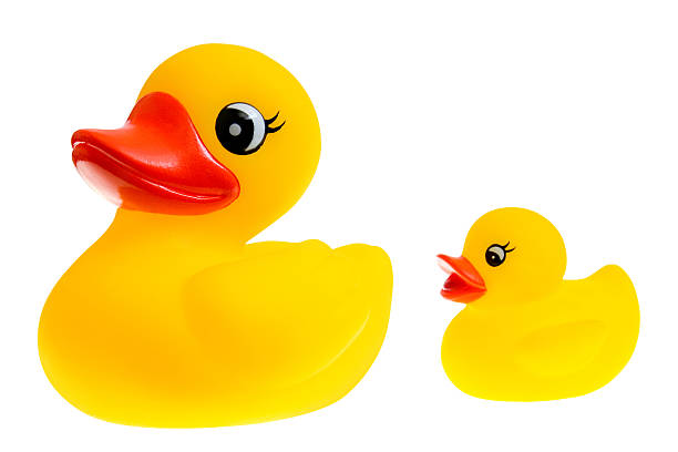 istock Mama and Baby Ducks 172191163