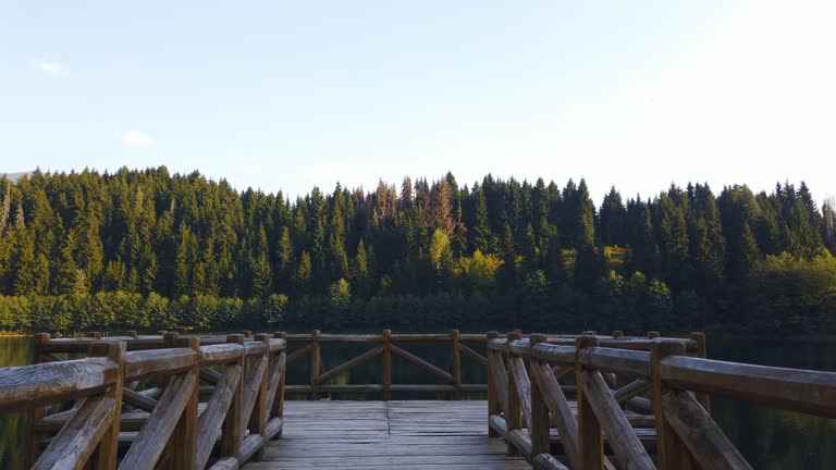 Wooden pier in Savsat Karagol Black lake in Eastern Black Sea Region, Turkey