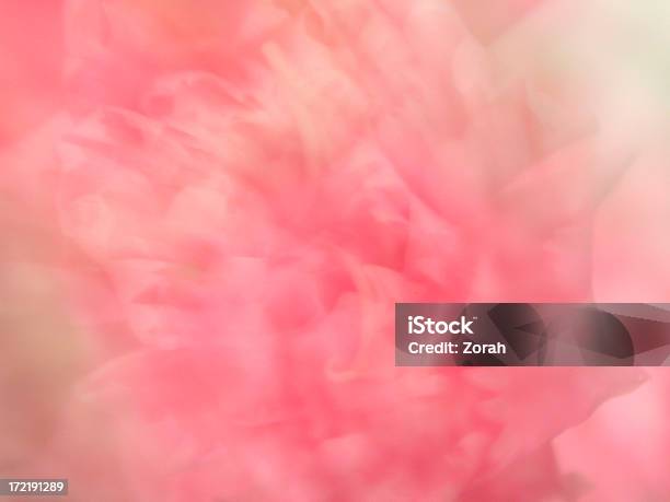 Nelke Hintergrund Stockfoto und mehr Bilder von Bildhintergrund - Bildhintergrund, Blumenmuster, Fotografie