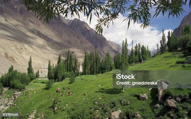 Paradies Im Karakoram Stockfoto und mehr Bilder von Asien - Asien, Baum, Bergkette Karakorum