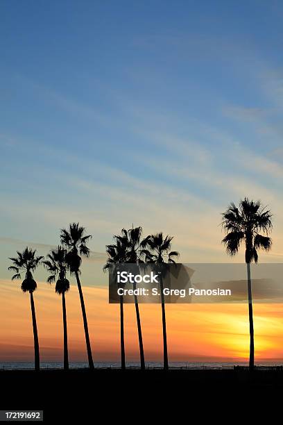 Venice Beach Sunset Foto de stock y más banco de imágenes de Condado de Los Ángeles - Condado de Los Ángeles, Palmera, Espacio en blanco