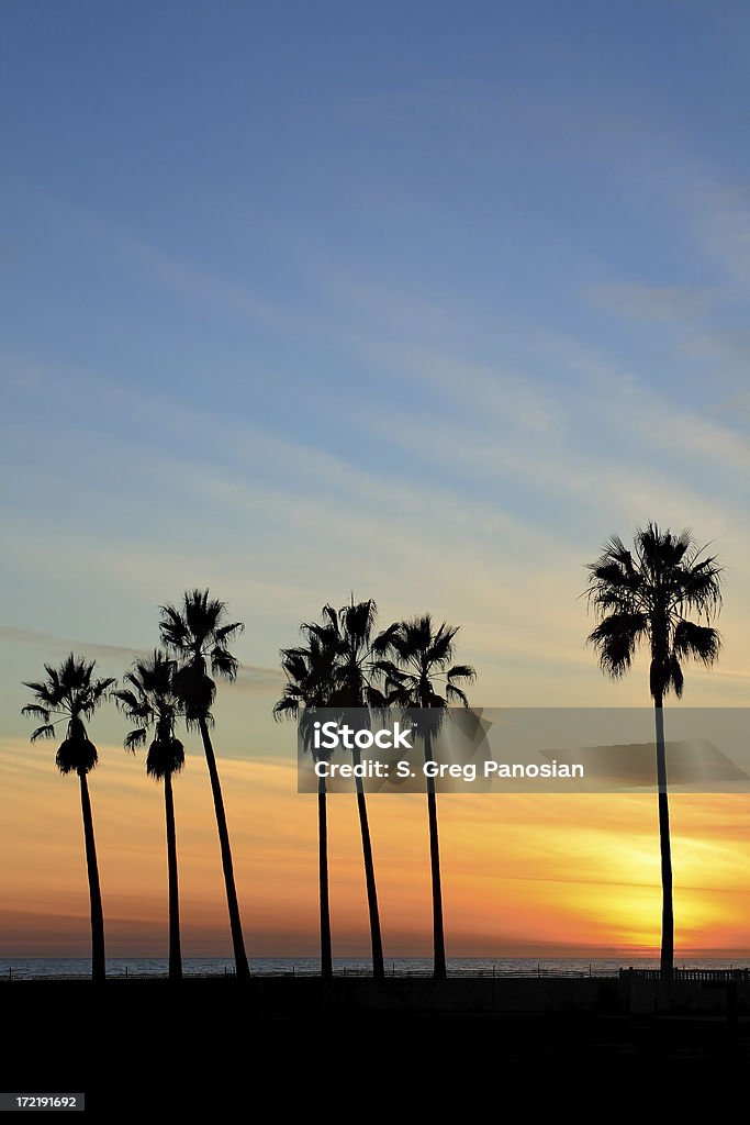 Venezia spiaggia al tramonto - Foto stock royalty-free di Los Angeles - Contea