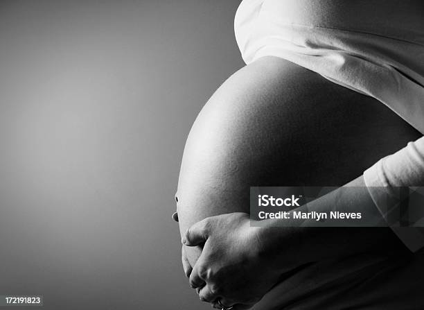 La Maternidad Foto de stock y más banco de imágenes de Embarazada - Embarazada, Perfil - Vista de costado, Abdomen