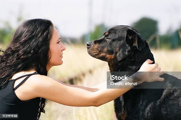 Cachorro E Mulher - Fotografias de stock e mais imagens de Abraçar - Abraçar, Adulto, Amizade