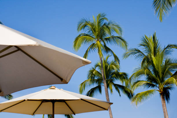istock Tropical Holiday Resort Hz 172191983
