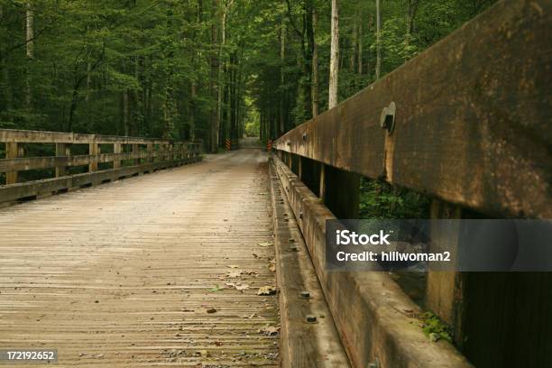 Ponte De Madeira - Fotografias de stock e mais imagens de Ao Ar Livre - Ao Ar Livre, Appalachia, Destino de Viagem