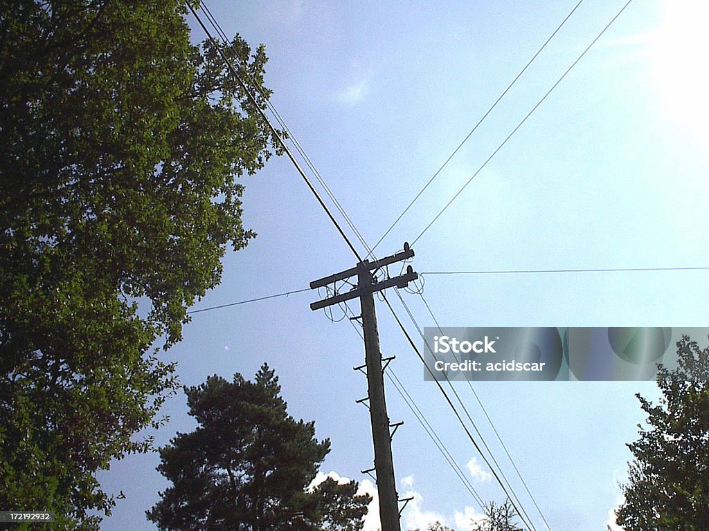 Telegraph Pole, (UK) "Telegraph Pole, (UK), in the country" Cable Stock Photo