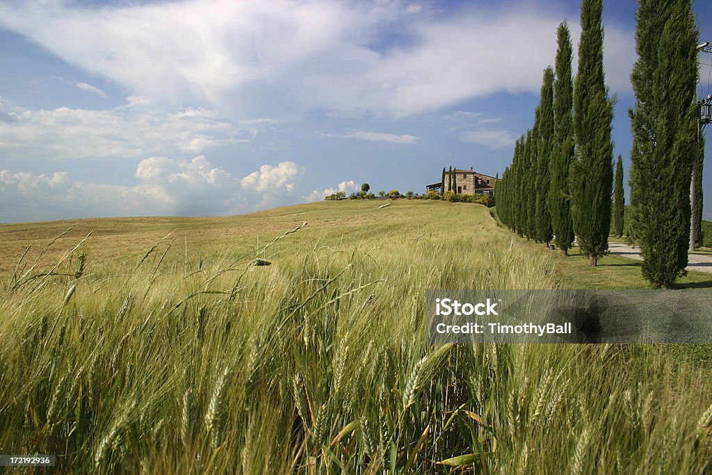 Toscanes classique - Photo de Agriculture libre de droits