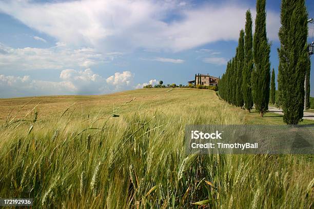 Clássico Tuscan Casa De Quinta - Fotografias de stock e mais imagens de Agricultura - Agricultura, Avenida, Azul