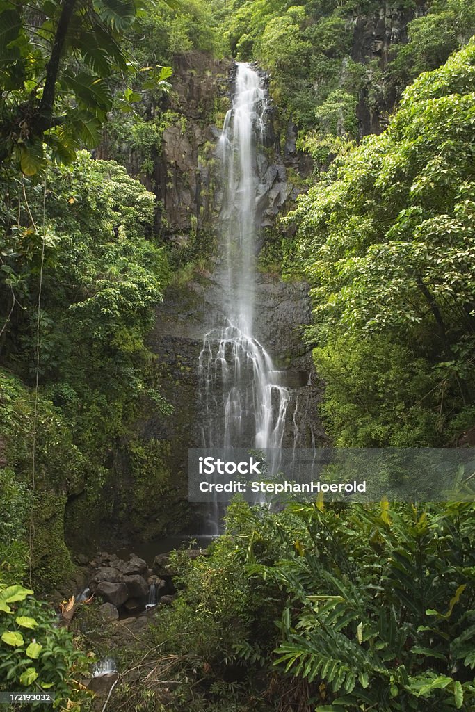 The lush Wailua Falls of Maui, Hawaii One of the numerous waterfalls near Hana in Maui. Long exposure. Bush Stock Photo