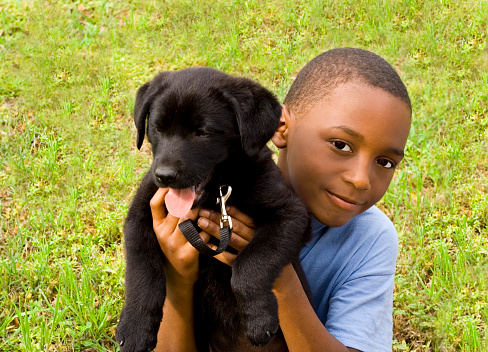 A black Labrador Retriever puppy in a green environment