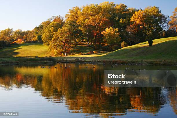 秋の反射 - デラウェア州のストックフォトや画像を多数ご用意 - デラウェア州, 自然の景観, 自然