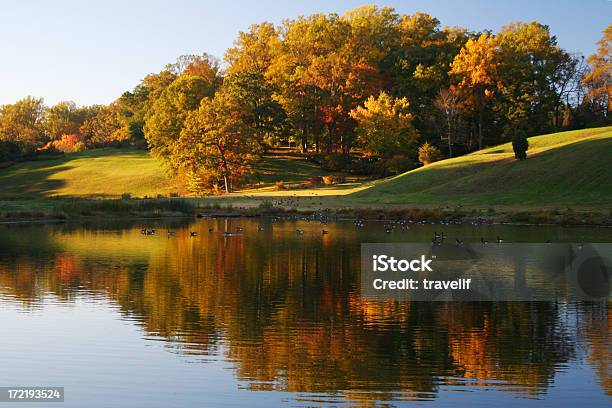 Outono De Reflexos - Fotografias de stock e mais imagens de Delaware - Delaware, Paisagem - Cena Não Urbana, Cena Rural