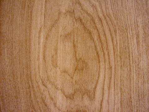 Closeup of a wood texture.