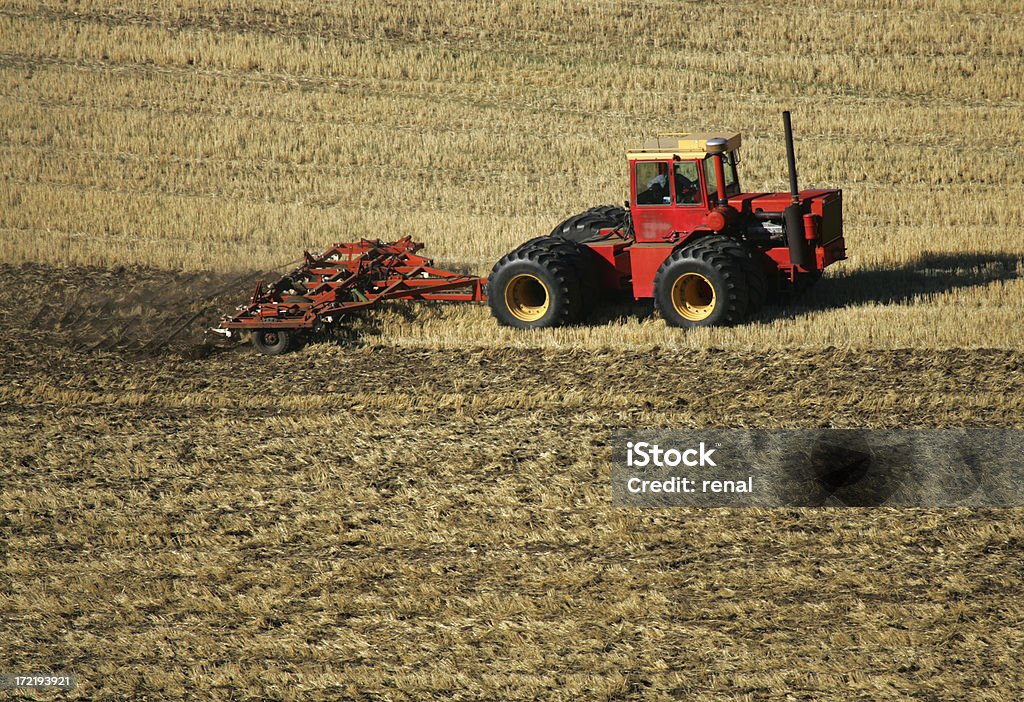 Tracteur rouge - Photo de Champ libre de droits