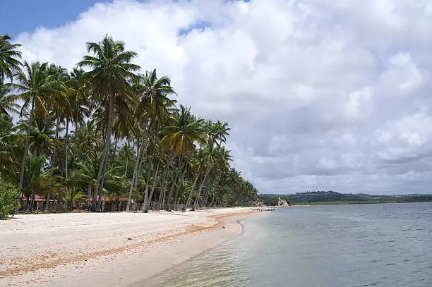 Paradise beach in Brazil