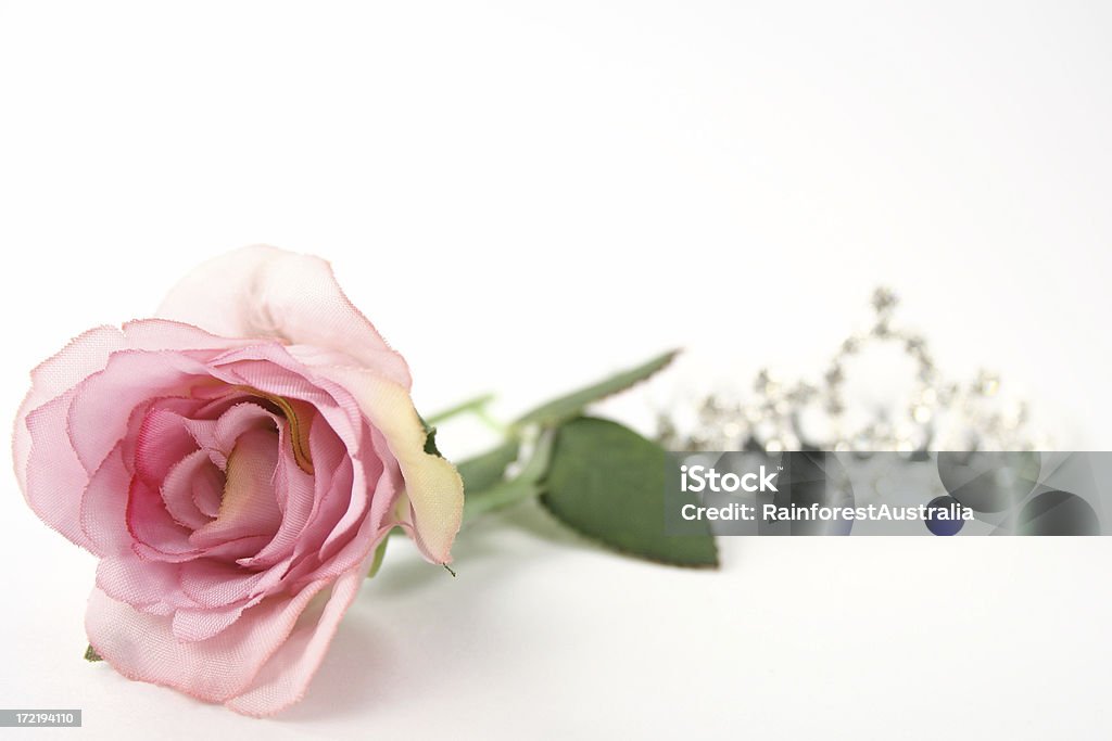 tiara und Rosa rose - Lizenzfrei Blume Stock-Foto