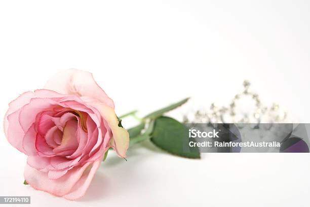 Tiara Und Rosa Rose Stockfoto und mehr Bilder von Blume - Blume, Diamant, Einzelne Blume
