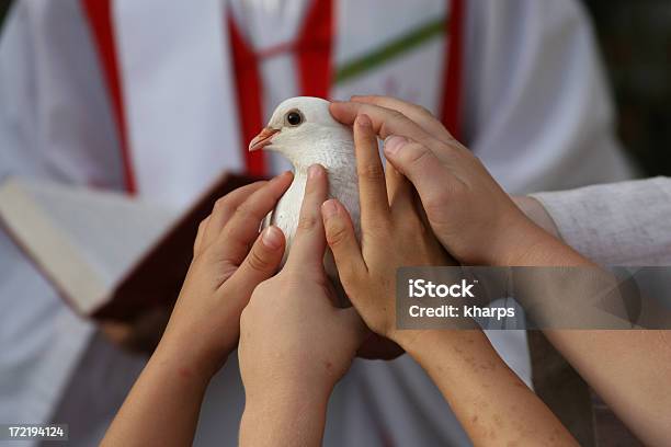 Word Spirit Stock Photo - Download Image Now - Pentecost - Religious Celebration, Dove - Bird, Christianity